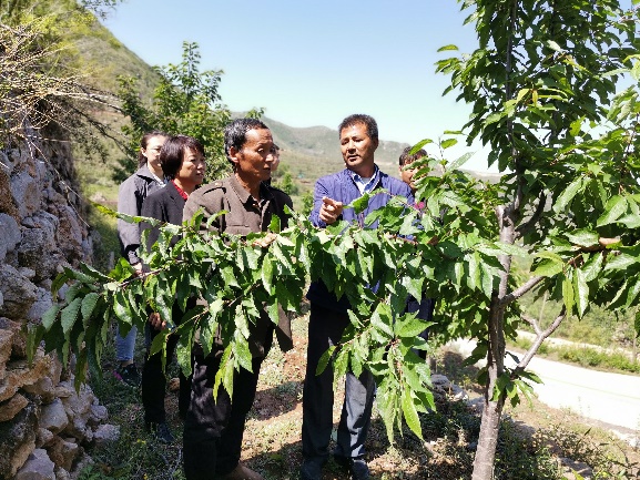 特派员陈敬谊教授等在后池村现场指导果树生产1.jpg