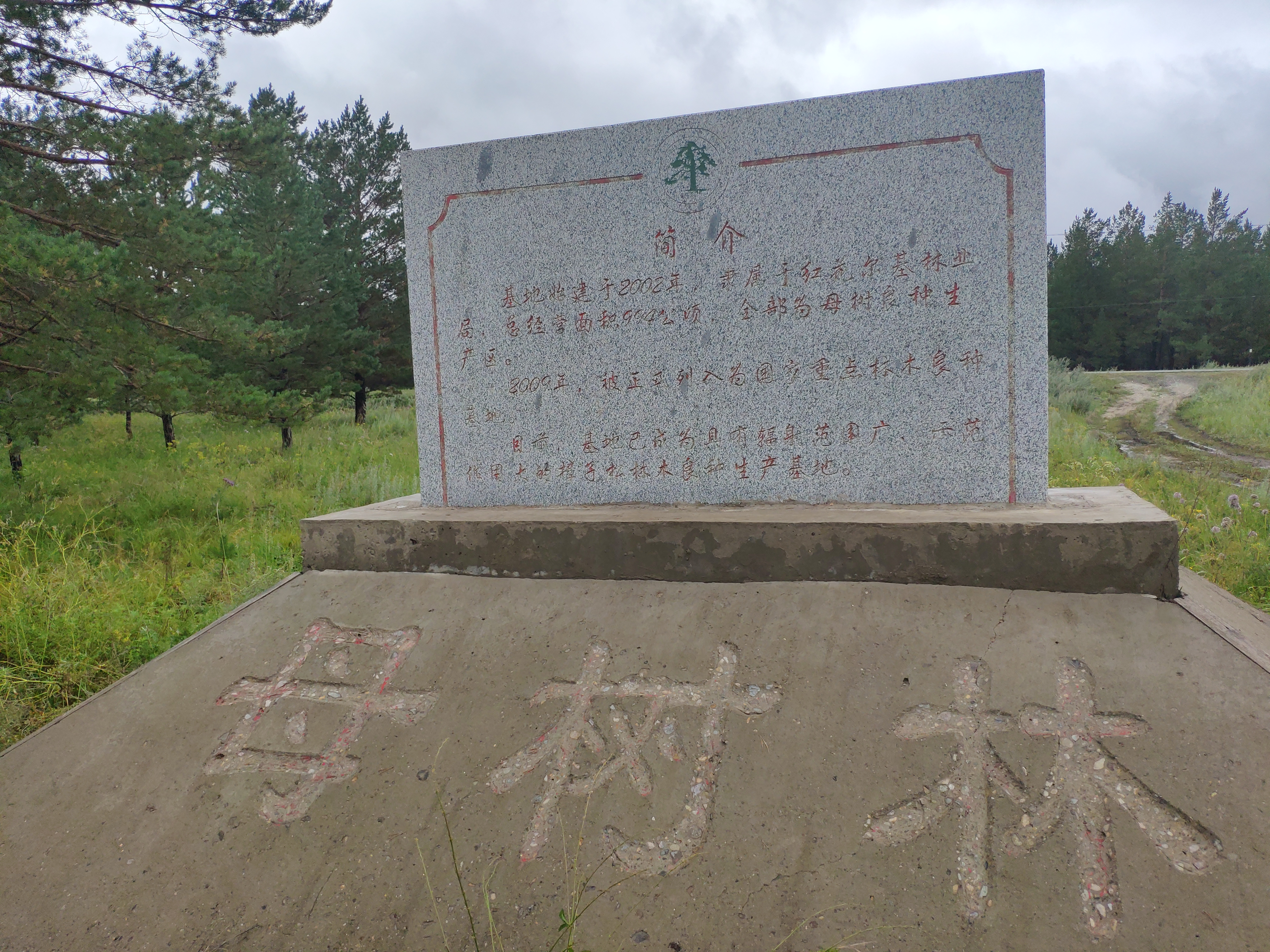 红花尔基林业局国家樟子松良种基地(背面).jpg