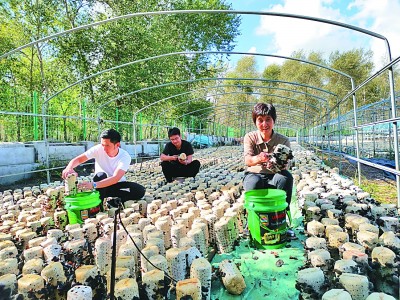 天地间，有大课堂有大舞台——中国高校扶贫掠影