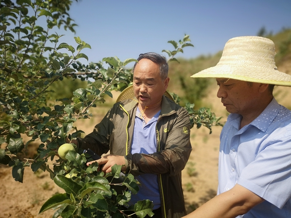 团队成员王雷存研究员在检查山地苹果长势_副本.jpg