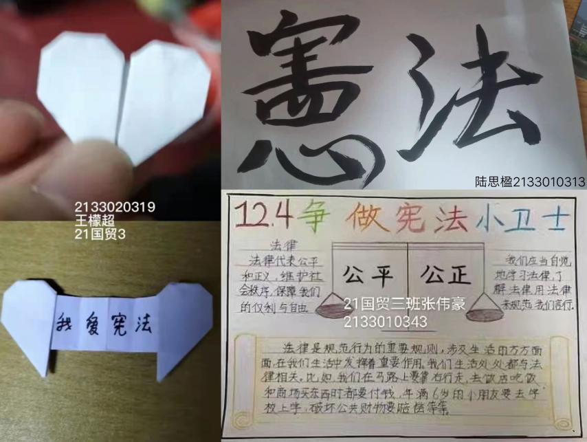 “宪法卫士2021行动计划”部分实践活动展示.png