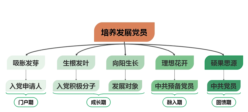 党员培养流程图.png